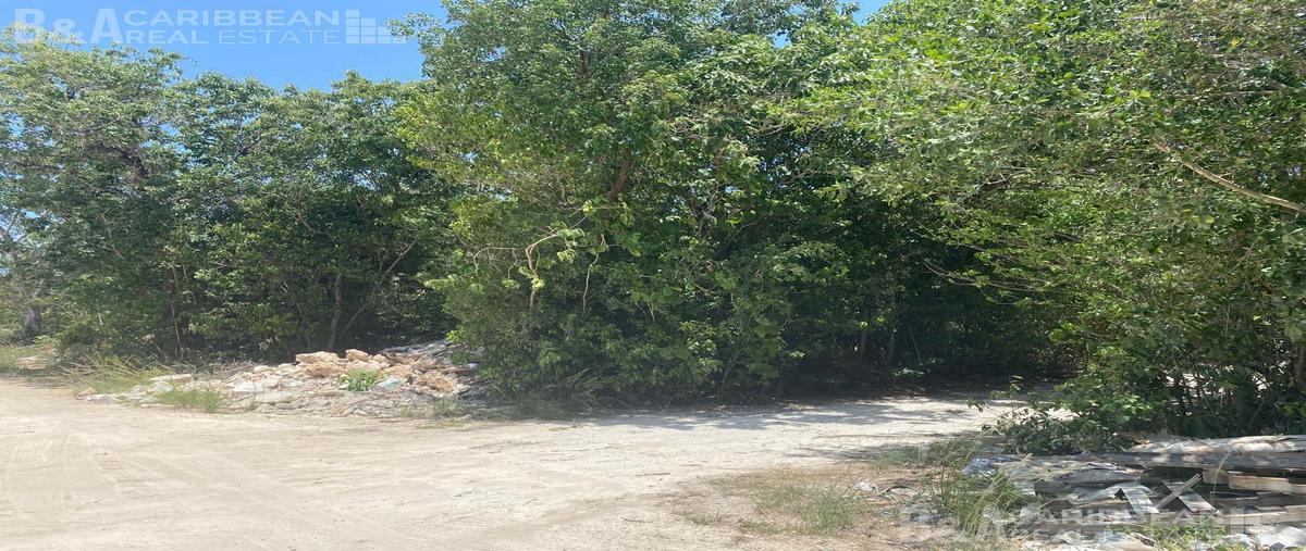 Foto de terreno habitacional en renta en  , álamos i, benito juárez, quintana roo, 0 No. 05