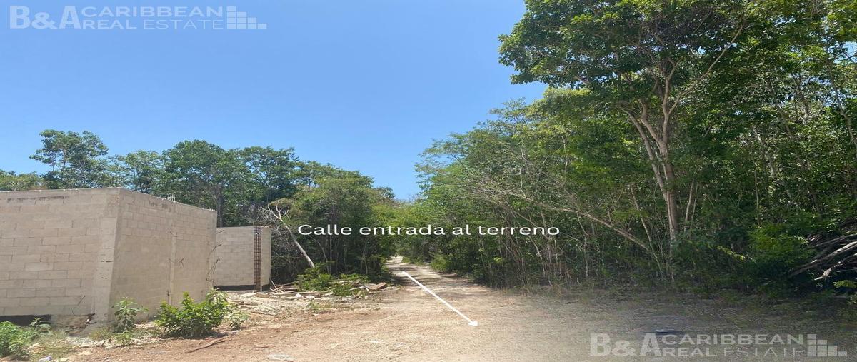 Foto de terreno habitacional en , álamos i, benito juárez, quintana roo, 0 foto 02 Foto de terreno habitacional en venta en , álamos i, benito juárez, quintana roo, 0 No. 02