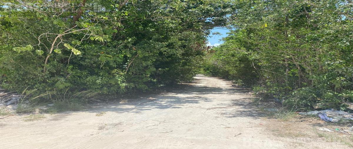 Foto de terreno habitacional en venta en  , álamos i, benito juárez, quintana roo, 0 No. 04