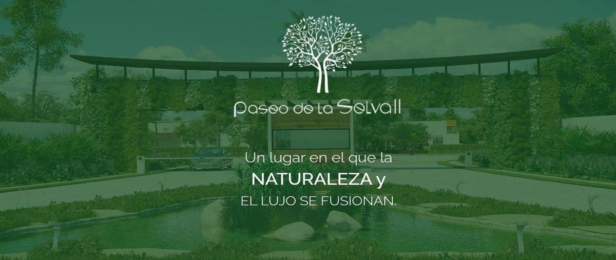 Foto de terreno habitacional en venta en  , álamos i, benito juárez, quintana roo, 0 No. 05