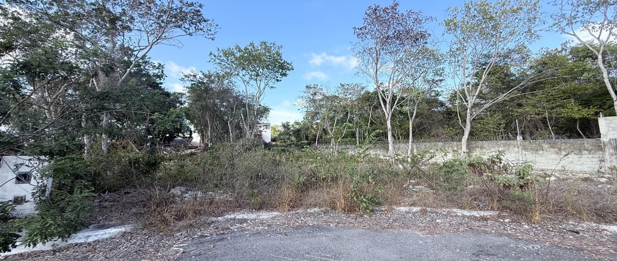 Foto de terreno habitacional en venta en  , álamos i, benito juárez, quintana roo, 0 No. 03