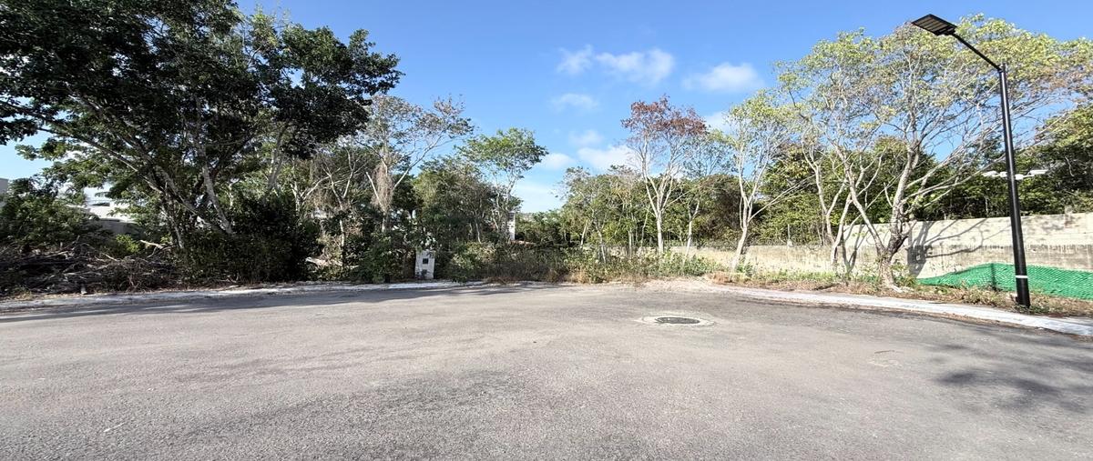 Foto de terreno habitacional en venta en  , álamos i, benito juárez, quintana roo, 0 No. 04