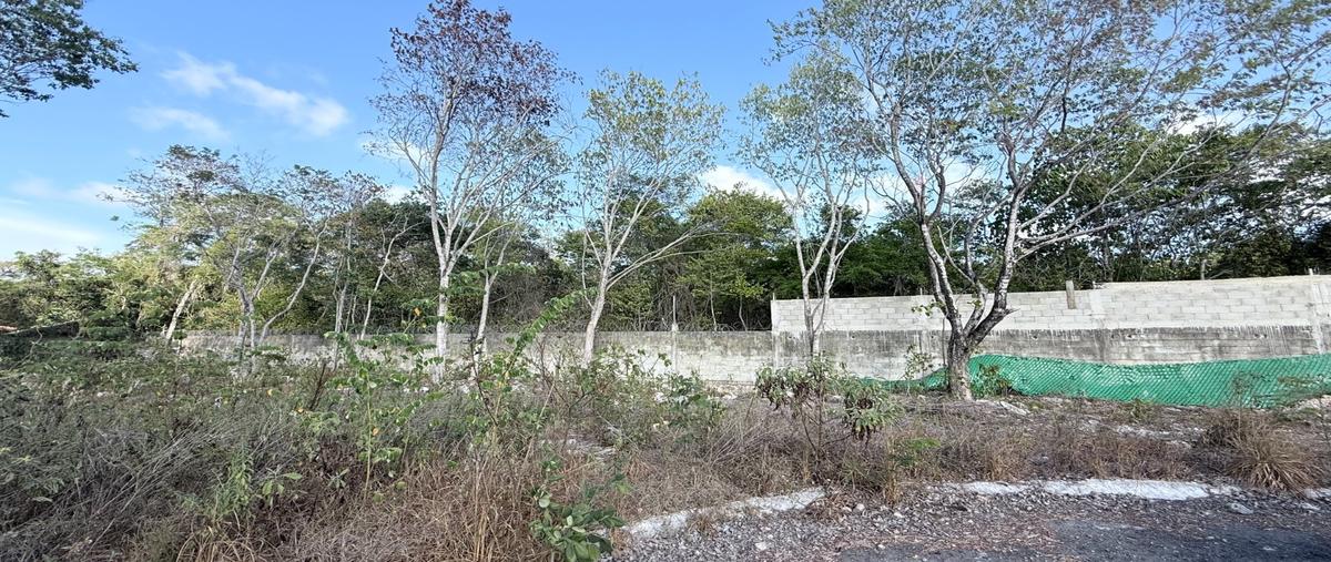 Foto de terreno habitacional en venta en  , álamos i, benito juárez, quintana roo, 0 No. 05