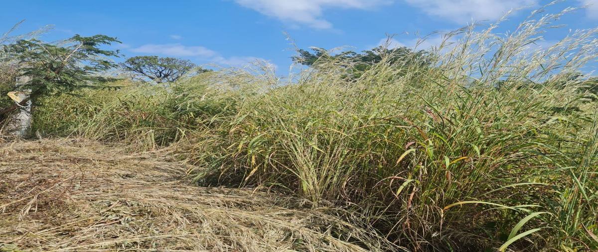 Foto de terreno habitacional en venta en alamos , santa isabel, tuxtla gutiérrez, chiapas, 26230433 No. 03