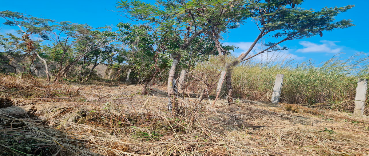 Foto de terreno habitacional en venta en alamos , santa isabel, tuxtla gutiérrez, chiapas, 26230433 No. 05