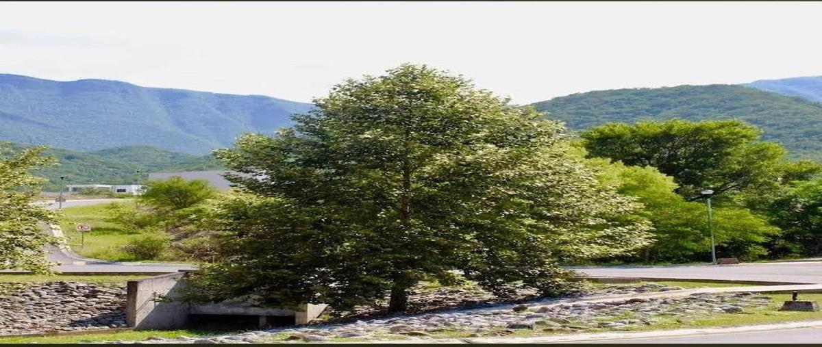 Foto de terreno habitacional en venta en  , alamosur, santiago, nuevo león, 0 No. 03