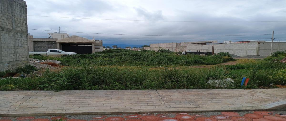Foto de terreno habitacional en venta en  , alamoxtitla, tulancingo de bravo, hidalgo, 30332071 No. 01
