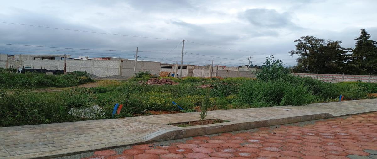 Foto de terreno habitacional en venta en  , alamoxtitla, tulancingo de bravo, hidalgo, 30332071 No. 03