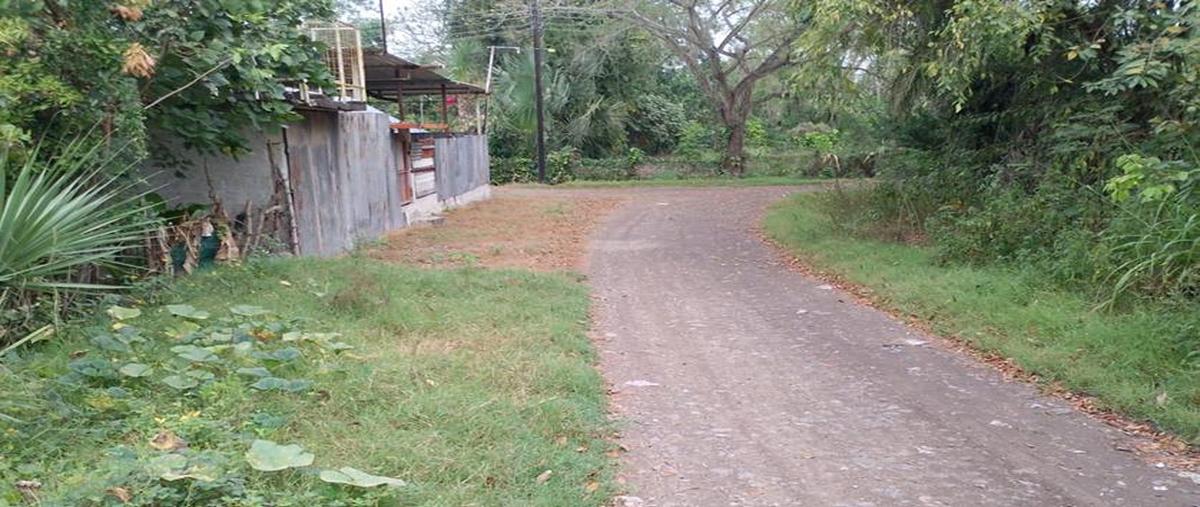 Foto de terreno habitacional en venta en  , alazán, álamo temapache, veracruz de ignacio de la llave, 0 No. 03