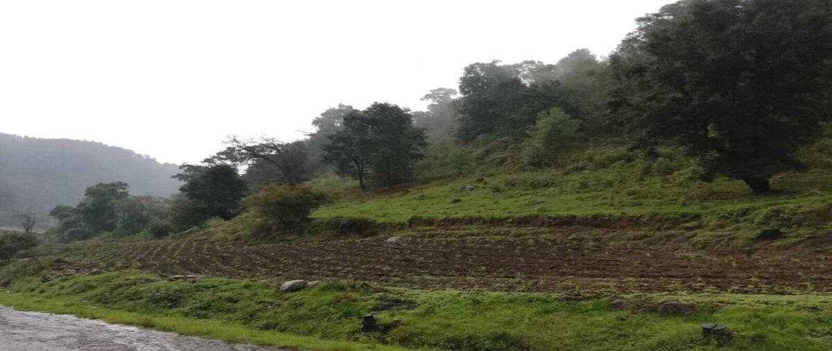 Foto de terreno habitacional en albarranes , san antonio albarranes, temascaltepec, méxico, 0 foto 02 Foto de terreno habitacional en venta en albarranes , san antonio albarranes, temascaltepec, méxico, 0 No. 02