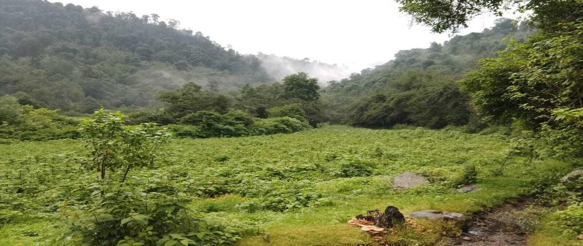 Foto de terreno habitacional en albarranes , san antonio albarranes, temascaltepec, méxico, 0 foto 03 Foto de terreno habitacional en venta en albarranes , san antonio albarranes, temascaltepec, méxico, 0 No. 03