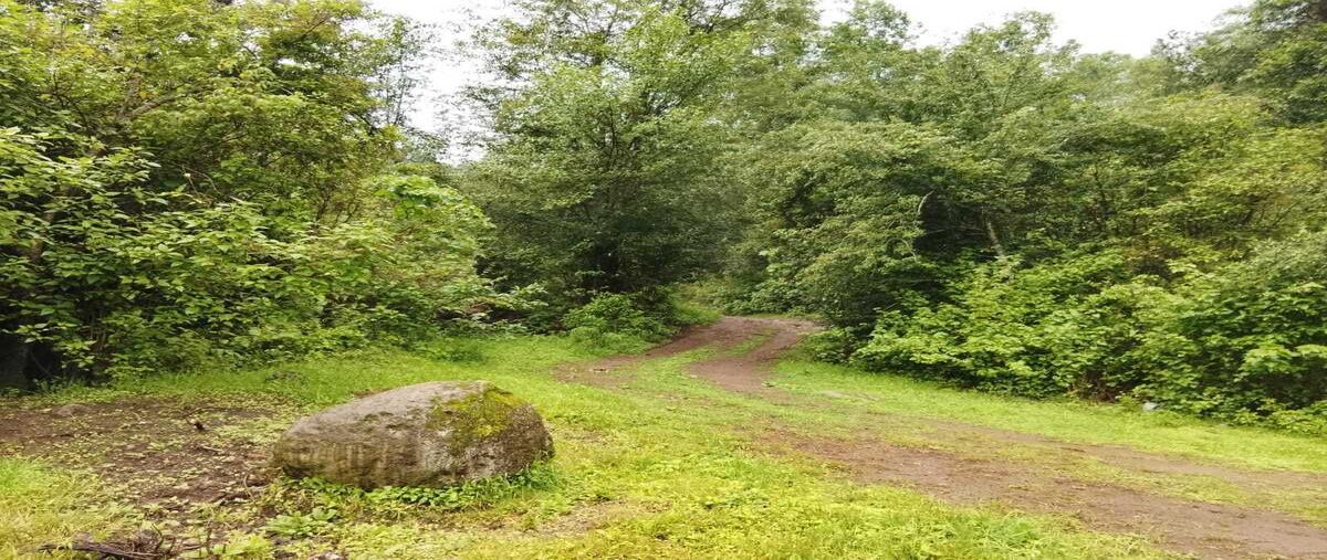 Foto de terreno habitacional en albarranes , san antonio albarranes, temascaltepec, méxico, 0 foto 04 Foto de terreno habitacional en venta en albarranes , san antonio albarranes, temascaltepec, méxico, 0 No. 04