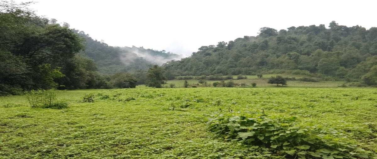 Foto de terreno habitacional en albarranes , san antonio albarranes, temascaltepec, méxico, 0 foto 05 Foto de terreno habitacional en venta en albarranes , san antonio albarranes, temascaltepec, méxico, 0 No. 05