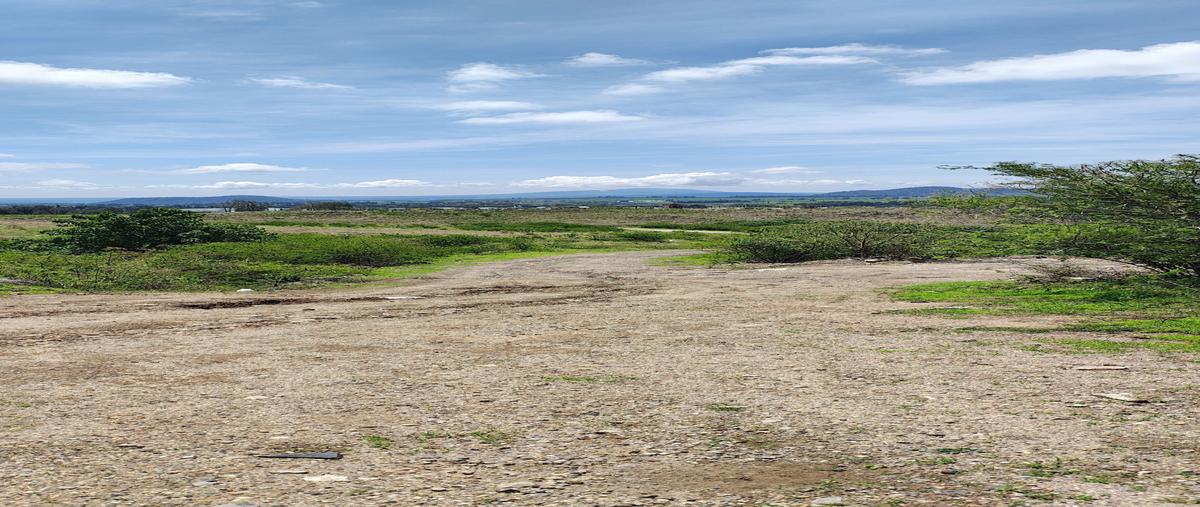 Foto de terreno habitacional en venta en , .. , albaterra, zapopan, jalisco, 0 No. 04
