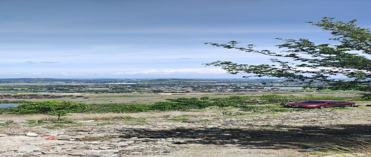 Foto de terreno habitacional en venta en , .. , albaterra, zapopan, jalisco, 0 No. 05