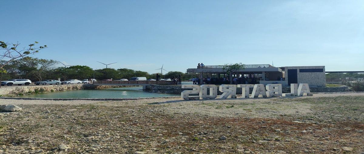 Foto de terreno habitacional en venta en albatros , chicxulub puerto, progreso, yucatán, 31114490 No. 04