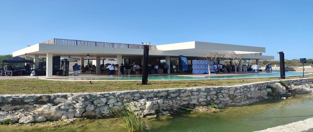 Foto de terreno habitacional en venta en albatros , chicxulub puerto, progreso, yucatán, 0 No. 07
