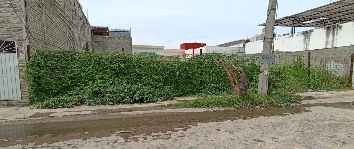 Foto de terreno habitacional en venta en  , albatros, puerto vallarta, jalisco, 30343133 No. 05