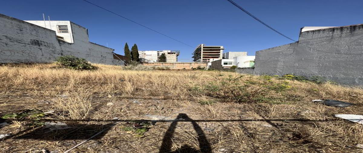 Foto de terreno habitacional en venta en alberta , colomos providencia, guadalajara, jalisco, 25254114 No. 05
