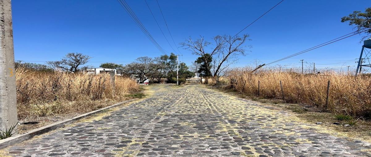 Foto de terreno habitacional en venta en alborada , el venadito, ayala, morelos, 0 No. 04