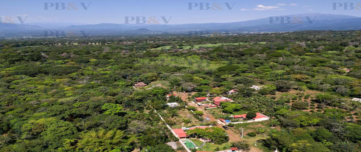 Foto de terreno habitacional en venta en  , alborada, emiliano zapata, veracruz de ignacio de la llave, 0 No. 03