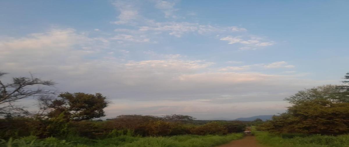 Foto de terreno habitacional en , alcaraces, cuauhtémoc, colima, 0 foto 05 Foto de terreno habitacional en venta en , alcaraces, cuauhtémoc, colima, 0 No. 05