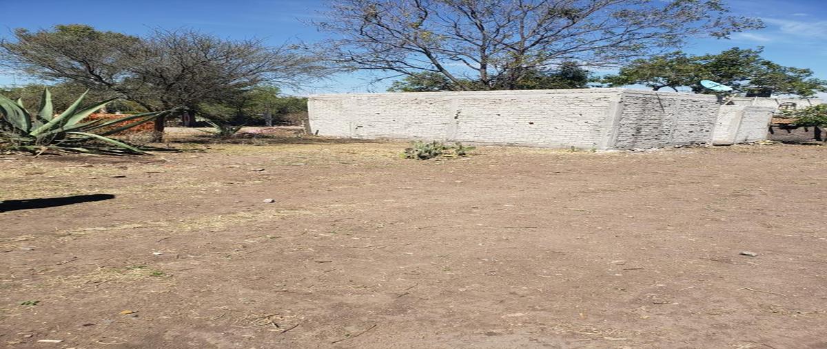 Foto de terreno habitacional en venta en alcocer , alcocer, san miguel de allende, guanajuato, 25010893 No. 03