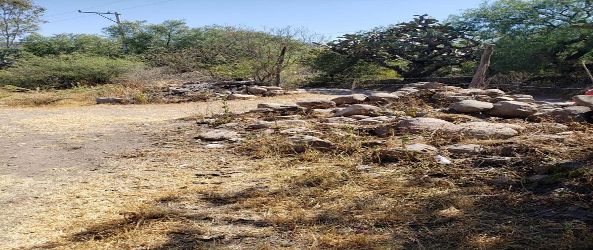 Foto de terreno habitacional en venta en alcocer , alcocer, san miguel de allende, guanajuato, 25010893 No. 04