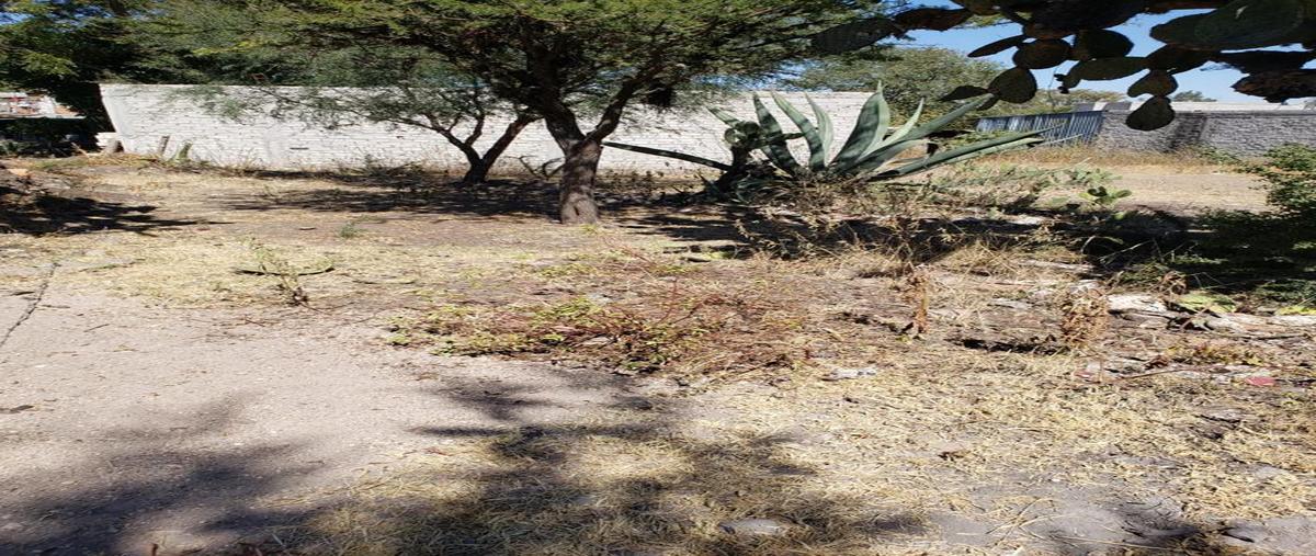 Foto de terreno habitacional en venta en alcocer , alcocer, san miguel de allende, guanajuato, 25010893 No. 05