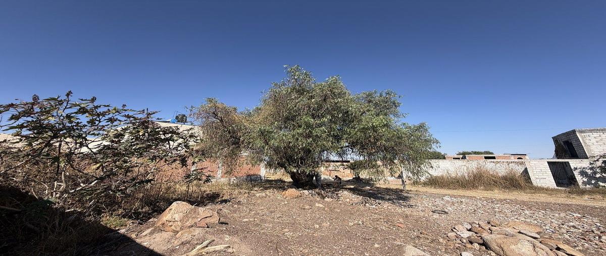 Foto de terreno habitacional en venta en  , alcocer, san miguel de allende, guanajuato, 30623258 No. 03