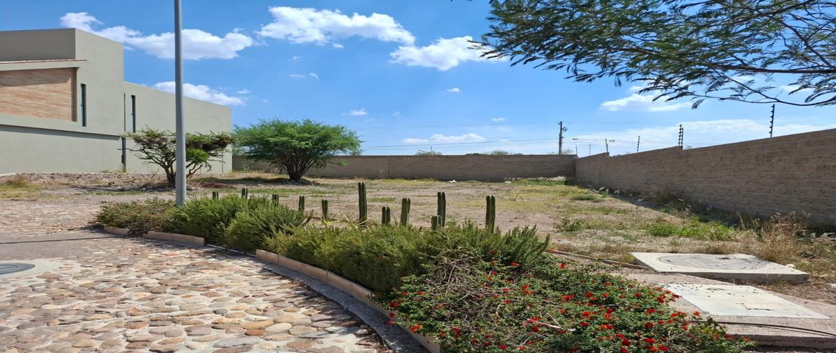 Foto de terreno habitacional en venta en  , alcocer, san miguel de allende, guanajuato, 31422160 No. 05