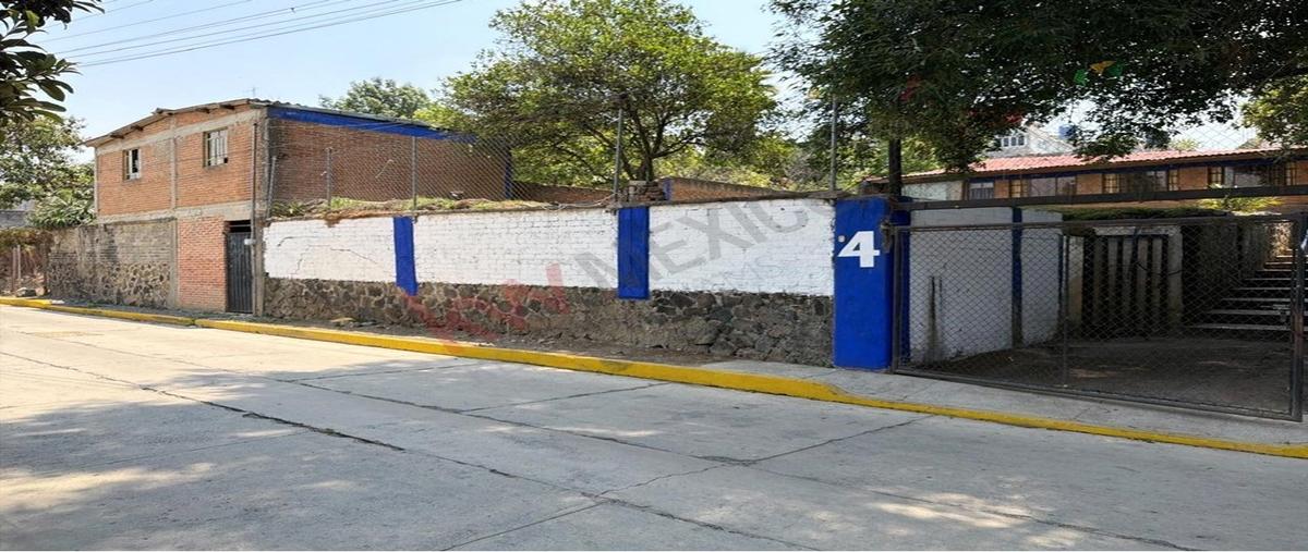 Foto de rancho en venta en aldama 4, tepetlixpa, tepetlixpa, méxico, 31098031 No. 03