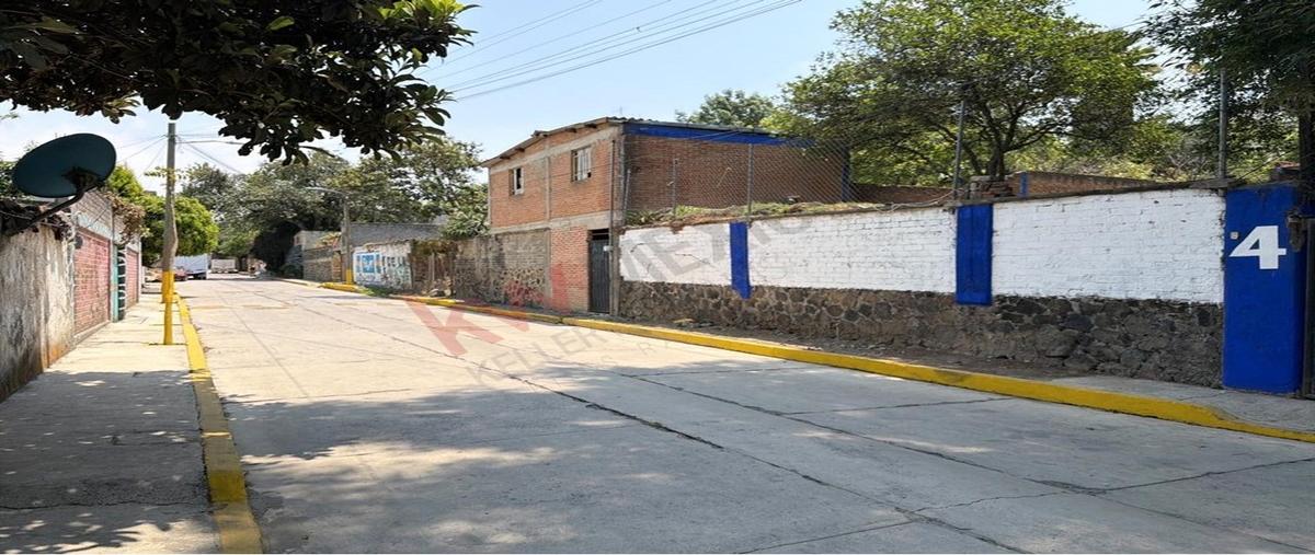 Foto de rancho en venta en aldama 4, tepetlixpa, tepetlixpa, méxico, 31098031 No. 04