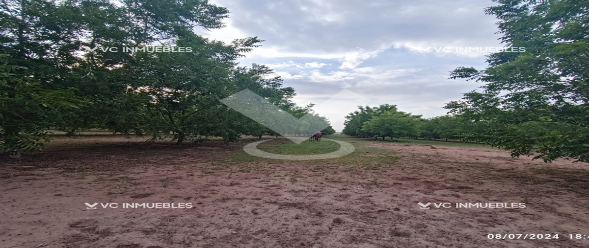 Foto de rancho en aldama , aldama centro, aldama, chihuahua, 28066386 foto 03 Foto de rancho en venta en aldama , aldama centro, aldama, chihuahua, 28066386 No. 03