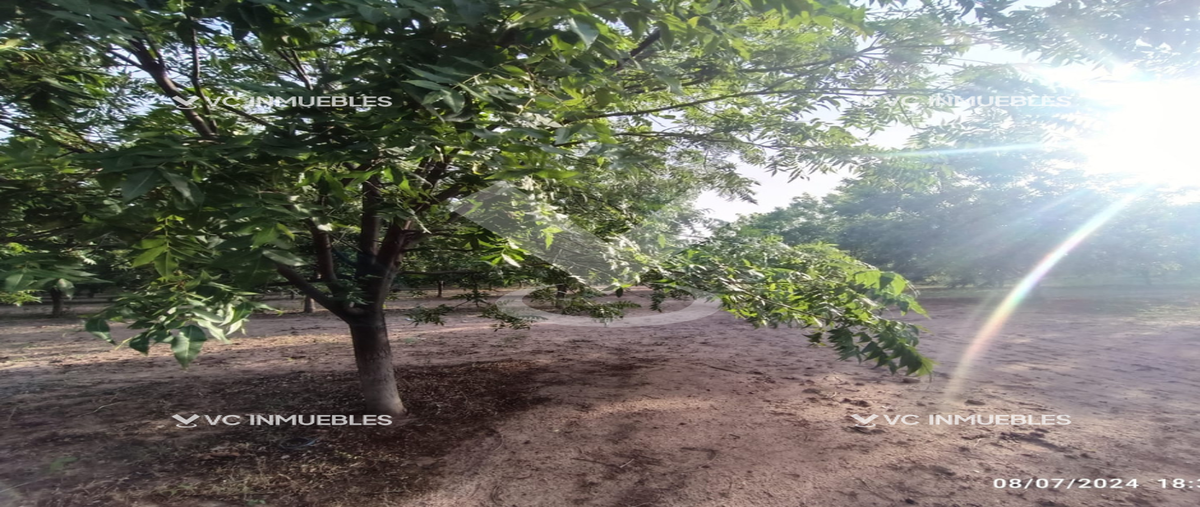 Foto de rancho en aldama , aldama centro, aldama, chihuahua, 28066386 foto 05 Foto de rancho en venta en aldama , aldama centro, aldama, chihuahua, 28066386 No. 05