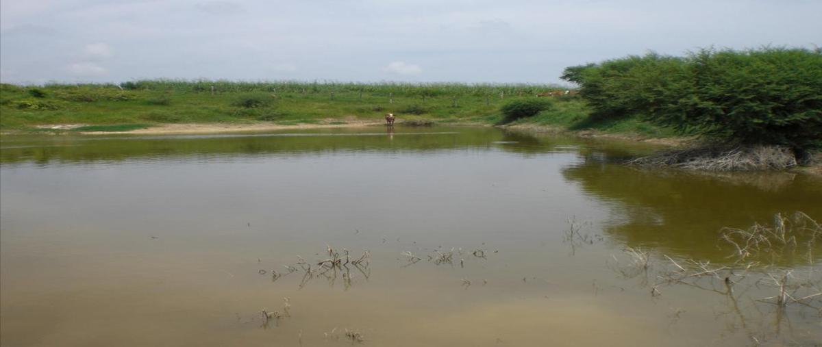 Foto de terreno habitacional en venta en  , aldama, aldama, tamaulipas, 0 No. 05