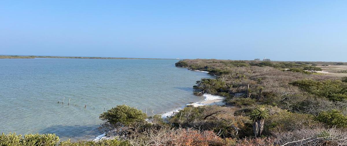 Foto de rancho en venta en  , aldama, aldama, tamaulipas, 0 No. 03
