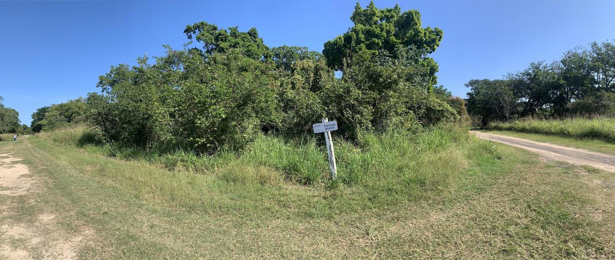 Foto de terreno habitacional en venta en  , aldama, aldama, tamaulipas, 0 No. 04