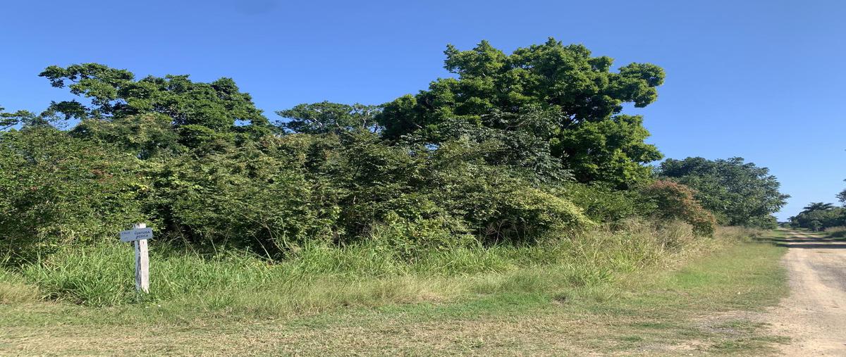 Foto de terreno habitacional en venta en  , aldama, aldama, tamaulipas, 0 No. 05