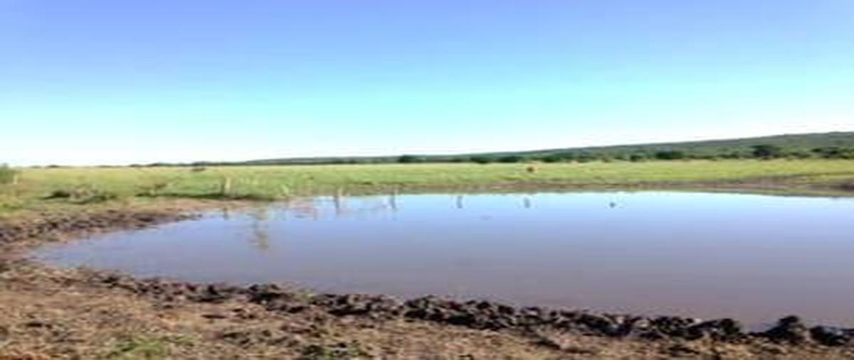 Foto de terreno habitacional en venta en  , aldama, aldama, tamaulipas, 0 No. 04