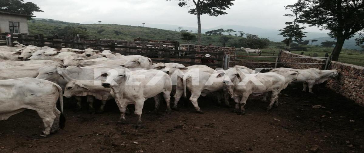 Foto de terreno comercial en . , aldama, aldama, tamaulipas, 0 foto 04 Foto de terreno comercial en venta en . , aldama, aldama, tamaulipas, 0 No. 04