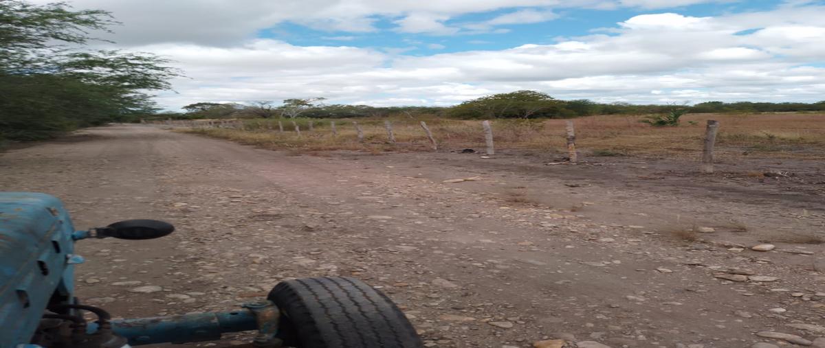 Foto de terreno habitacional en . , aldama, aldama, tamaulipas, 28174771 foto 03 Foto de terreno habitacional en venta en . , aldama, aldama, tamaulipas, 28174771 No. 03