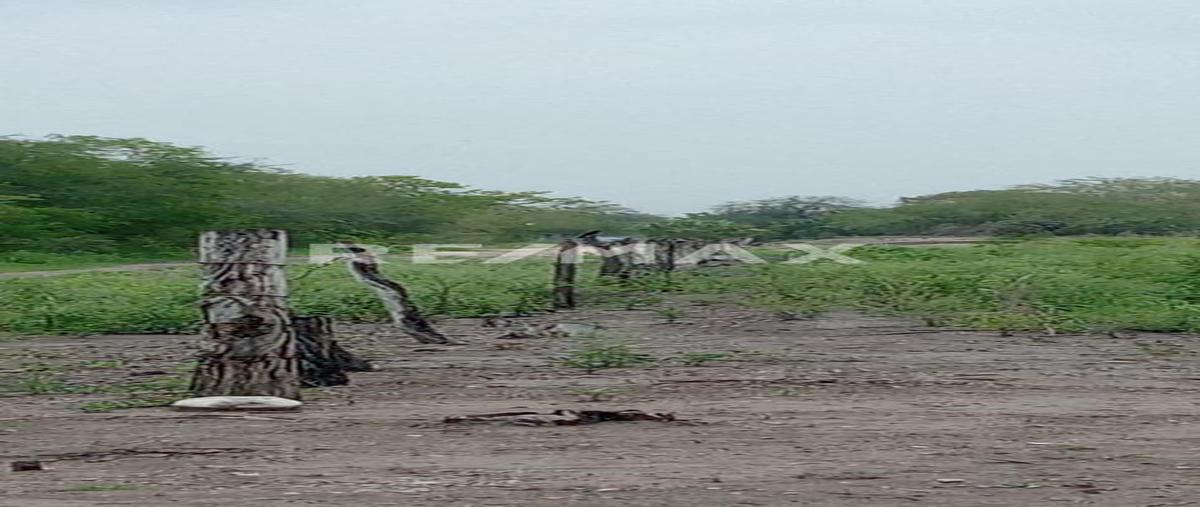 Foto de terreno habitacional en . , aldama, aldama, tamaulipas, 0 foto 05 Foto de terreno habitacional en venta en . , aldama, aldama, tamaulipas, 0 No. 05