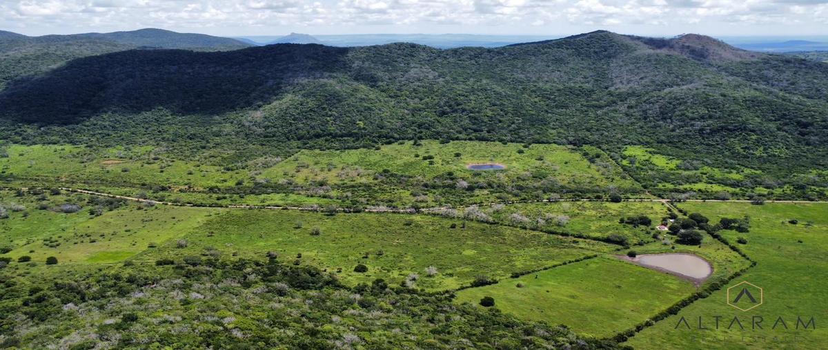 Foto de terreno habitacional en venta en  , aldama, aldama, tamaulipas, 0 No. 05