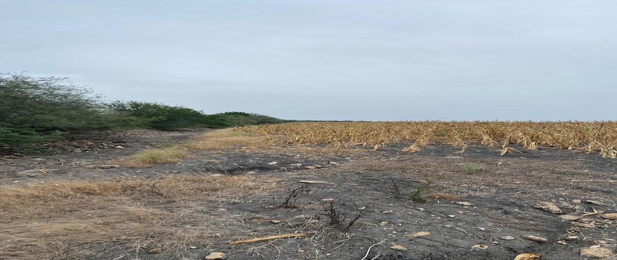 Foto de terreno habitacional en , aldama, aldama, tamaulipas, 0 foto 02 Foto de terreno habitacional en venta en , aldama, aldama, tamaulipas, 0 No. 02