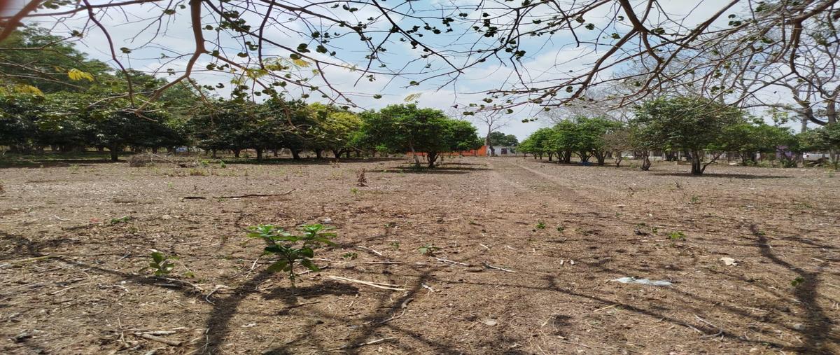 Foto de terreno habitacional en venta en  , aldama, aldama, tamaulipas, 30166327 No. 05