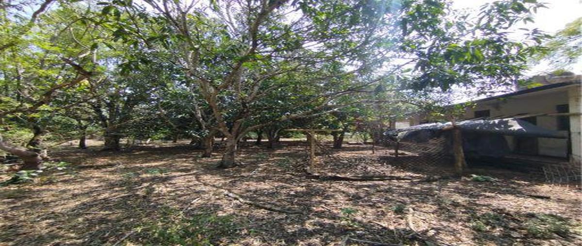 Foto de terreno habitacional en venta en  , aldama, aldama, tamaulipas, 30233500 No. 05