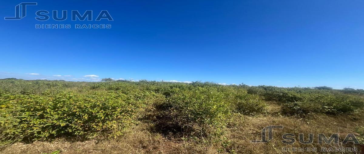 Foto de rancho en , aldama, aldama, tamaulipas, 0 foto 05 Foto de rancho en venta en , aldama, aldama, tamaulipas, 0 No. 05