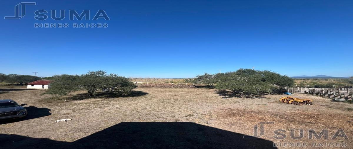Foto de rancho en , aldama, aldama, tamaulipas, 0 foto 03 Foto de rancho en venta en , aldama, aldama, tamaulipas, 0 No. 03