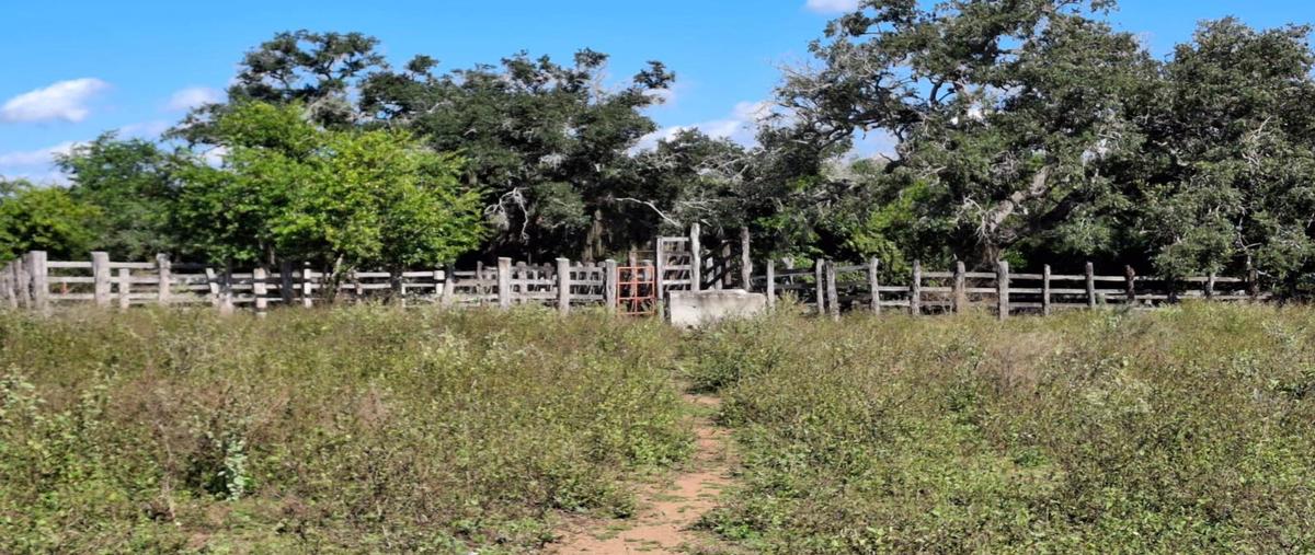 Foto de terreno habitacional en venta en  , aldama, aldama, tamaulipas, 0 No. 05